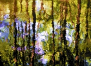 Reflection X